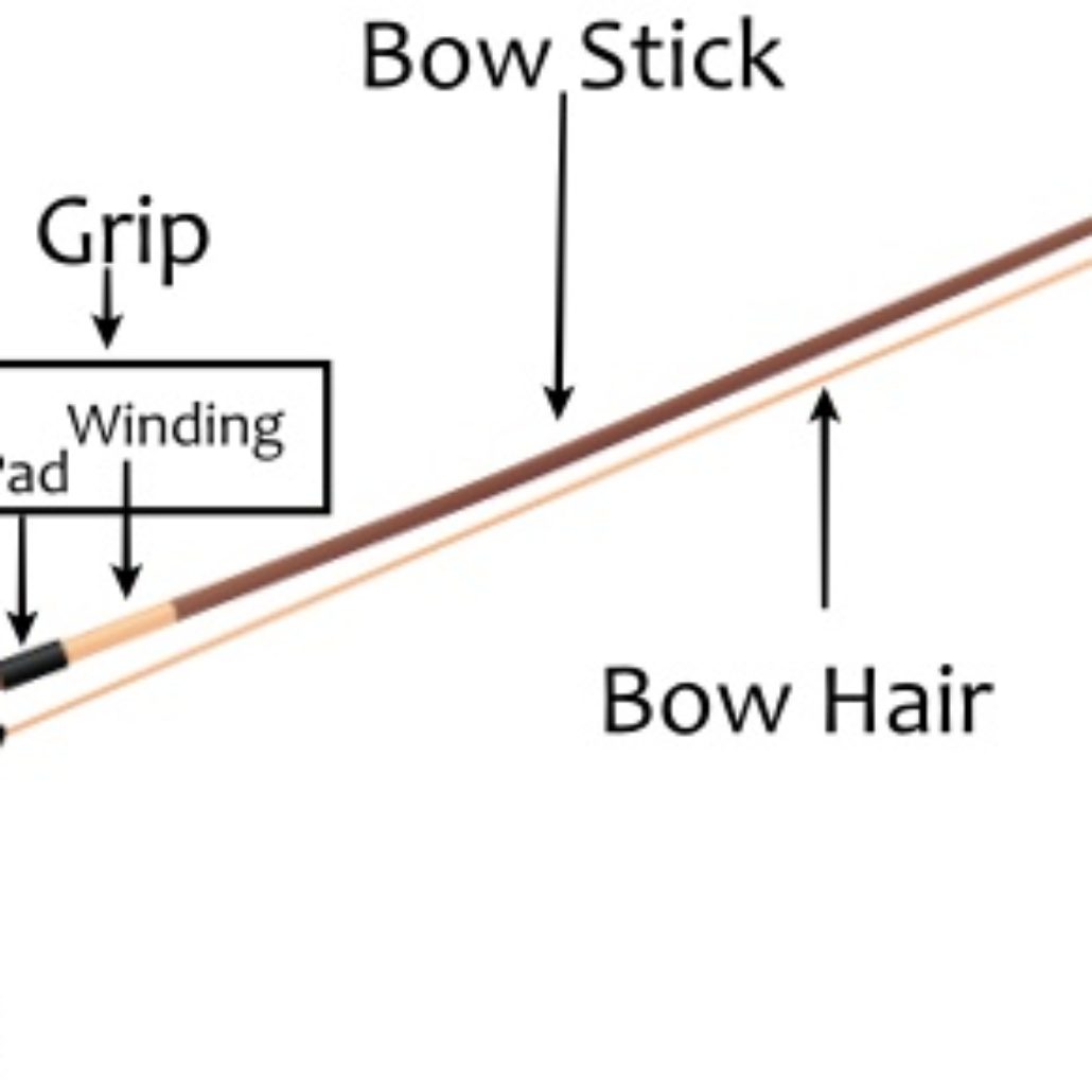 Parts Of The Violin - Know The Parts Of The Bow